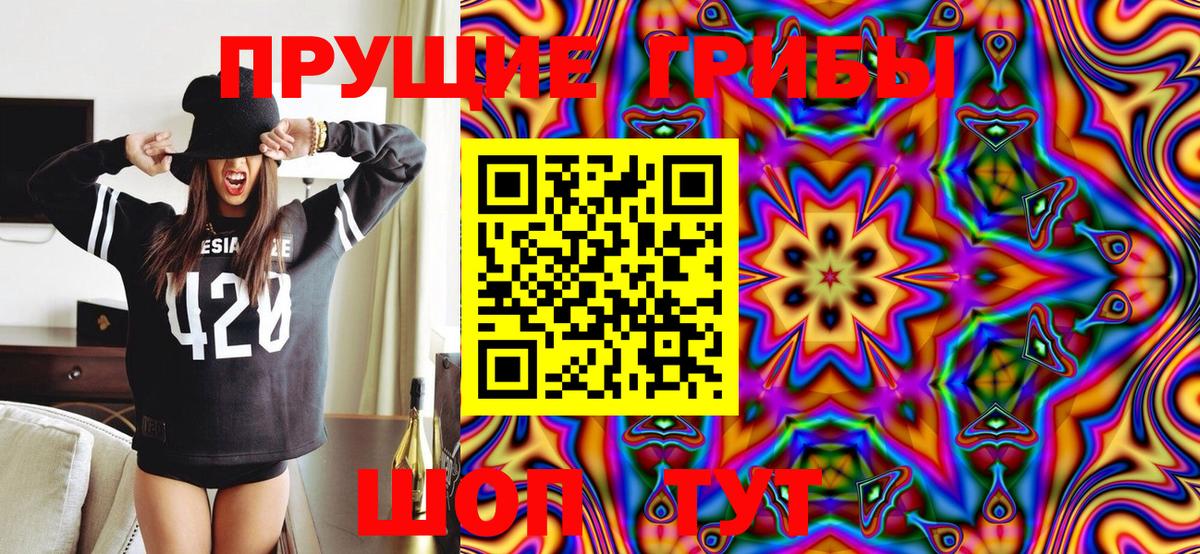 Прокопьевск  Псилоцибиновые грибы Psilocybine cubensis  наркота  Вход с VPN 