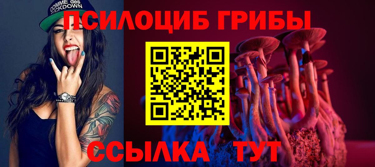 Галлюциногенные грибы Psilocybe Прокопьевск
